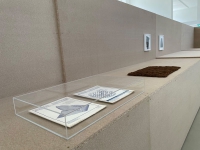 https://www.katrinmayer.net:443/files/gimgs/th-112_Burre04_RawMaterial+RadicalSoftware+PattiHill.jpg