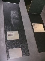 https://www.katrinmayer.net:443/files/gimgs/th-23_19_60_l1020604_v2.jpg