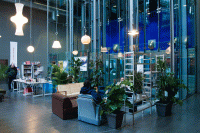https://www.katrinmayer.net:443/files/gimgs/th-31_7_2010-02-2113-03-07_v2.gif