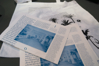 https://www.katrinmayer.net:443/files/gimgs/th-31_7_2010-02-2116-01-02_v2.gif