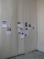 https://www.katrinmayer.net:443/files/gimgs/th-32_9_l1010341_v2.gif
