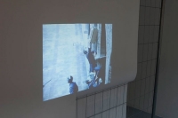https://www.katrinmayer.net:443/files/gimgs/th-39_35_27_dsc3915_v2.jpg