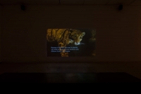 https://www.katrinmayer.net:443/files/gimgs/th-9_77_2016-12-17_18-53-19_F_weich_v2.jpg